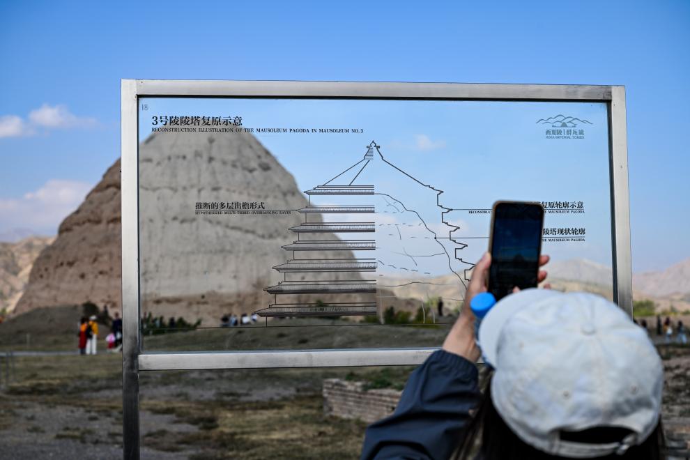 从世界遗产到热门景区：西夏陵“活化”之路(图2)