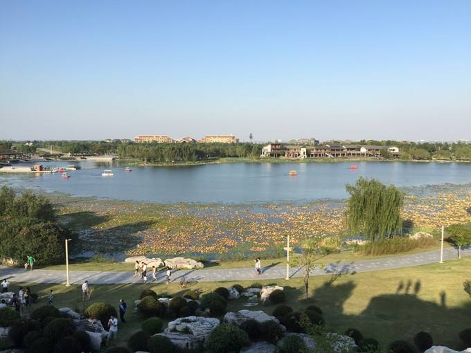 阳澄湖莲花岛旅游 阳澄湖农家乐吃湖鲜(图2)