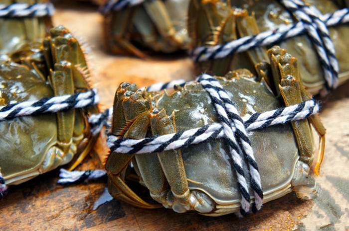 苏州阳澄湖旅游攻略 阳澄湖哪里吃大闸蟹(图2)