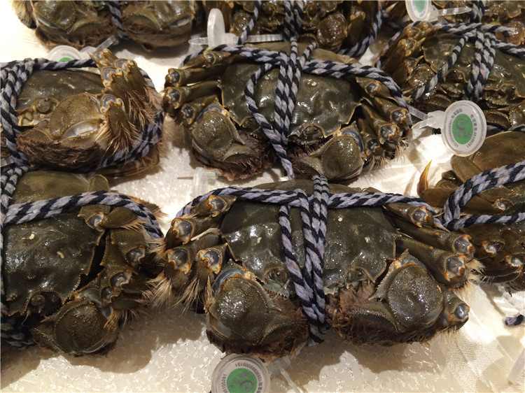苏州阳澄湖大闸蟹：青背白肚黄毛金爪的味中珍馐(图2)