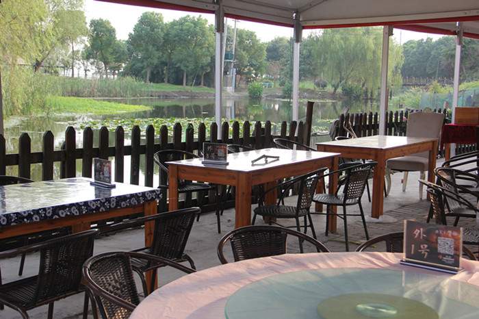 阳澄湖莲花岛之旅：湖鲜美食与自然风光体验(图3)