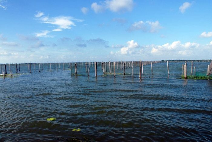 失恋治愈之旅：阳澄湖莲花岛一日游改变人生视角(图3)