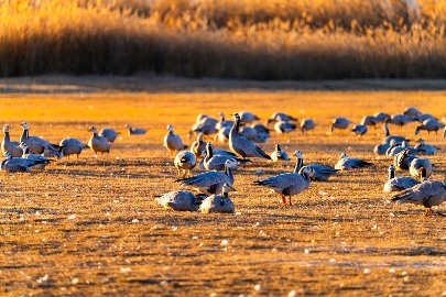 丽江数星星：暗夜资源激活文旅新IP(图4)