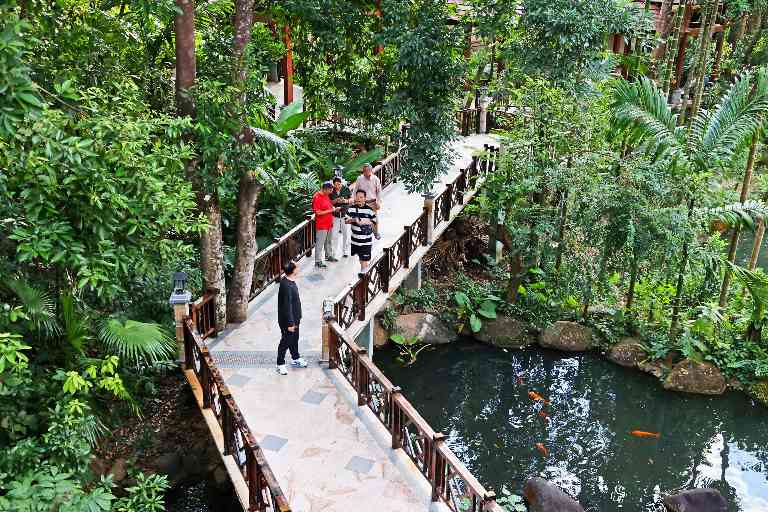 银发群体康养旅居需求升级(图2) 银发群体康养旅居需求升级(图2)