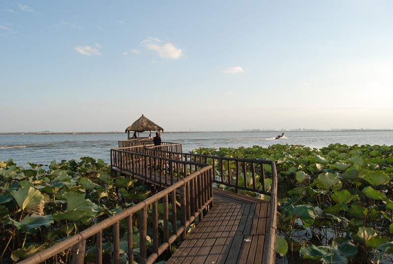 阳澄湖莲花岛自驾游攻略：美食与美景全记录(图2)