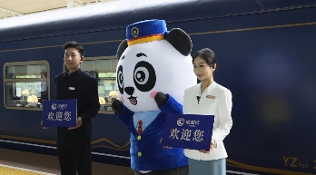 高铁网络+银发旅游+特色列车激发消费新场景(图1)
