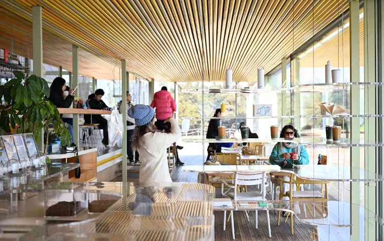 冬日观海别样浪漫 万平口解锁海滨新体验(图1)