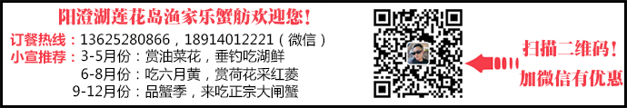 阳澄湖莲花岛自驾游攻略 驾车注意事项(图1)