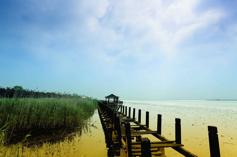 阳澄湖莲花岛四季美景与湖鲜美食全攻略(图3)