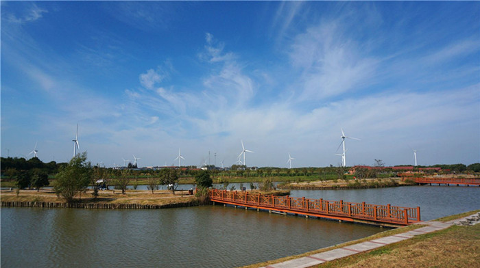 莲花岛农家乐体验湖鲜美食(图2)