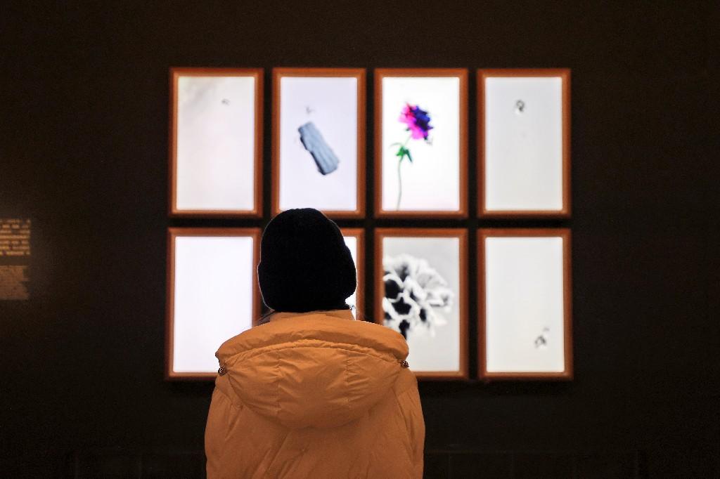 科技艺术融合展亮相中国美术馆，青年艺术家展现创新表达(图13)