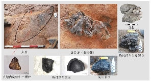 2024全国十大考古新发现揭示中华文明起源(图1)
