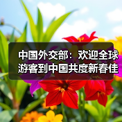 中国外交部：欢迎全球游客到中国共度新春佳节（图2）