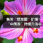 免签“朋友圈”扩增！“中国游”持续升温中（图3）