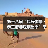 第十八届“良辰美景・恭王府非遗演出季”举办（图3）