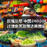 新增印尼 中国240小时过境免签政策适用国家扩展至55国（图2）