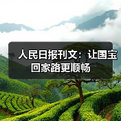 人民日报刊文：让国宝回家路更顺畅（图3）