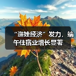 “遛娃经济”发力，端午住宿业增长显著（图2）