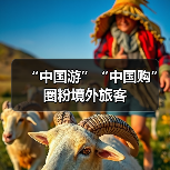 “中国游”“中国购”圈粉境外旅客（图1）