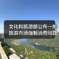 文化和旅游部公布一批旅游市场强制消费问题典型案例（图3）