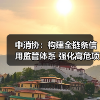 中消协：构建全链条信用监管体系 强化高危项目安全准入与动态监管（图4）