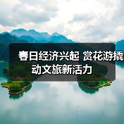 春日经济兴起 赏花游撬动文旅新活力（图3）