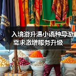 入境游升温小语种导游需求激增服务升级（图4）