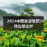 2024中国旅游集团20强名单出炉(图3) 2024中国旅游集团20强名单出炉(图3)