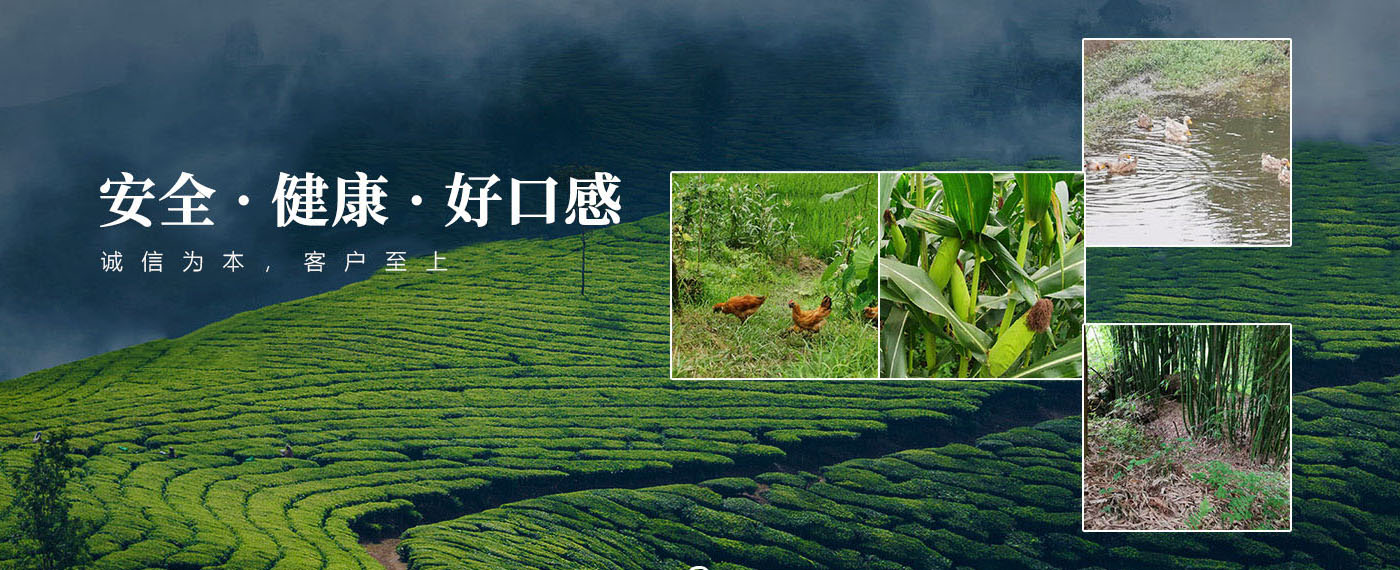 首页手机轮播图