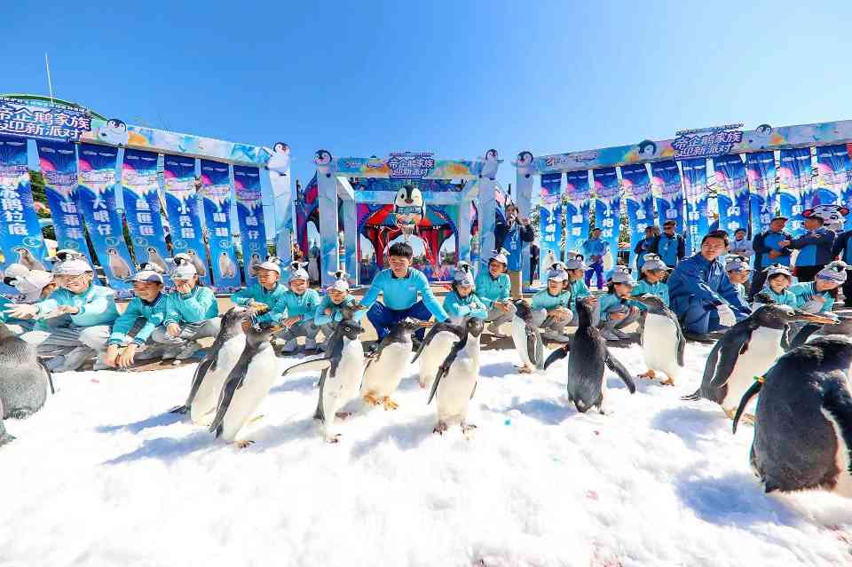 广东海洋乐园突破单一观赏模式，多元融合打造沉浸式体验(图2)