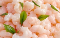 吴门传统名菜——碧螺虾仁(图3)