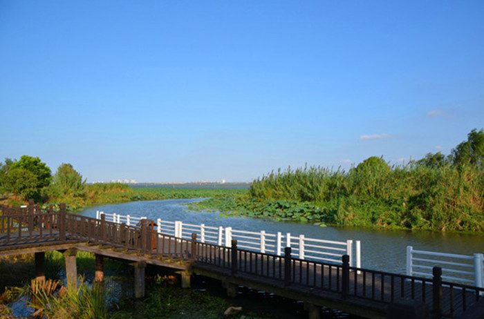 阳澄湖莲花岛游玩体验与农家乐选择指南(图2)