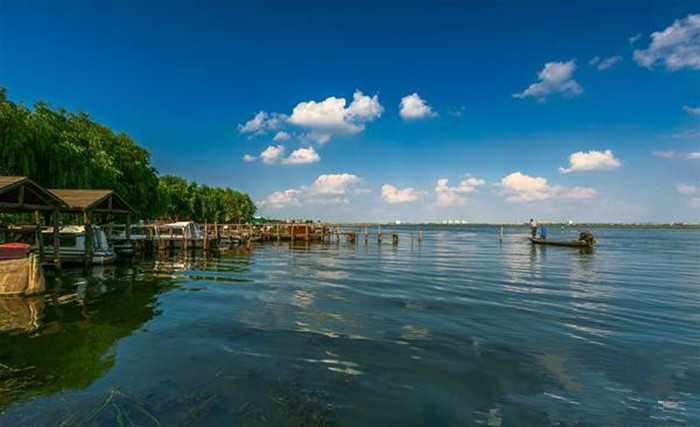 阳澄湖莲花岛一日游攻略：美食与江南水乡的完美邂逅(图3)