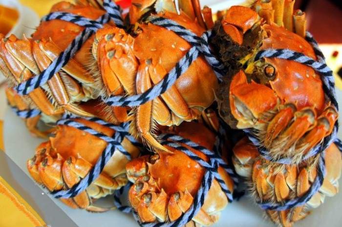 阳澄湖大闸蟹品鉴与莲花岛生态休闲全攻略(图2)