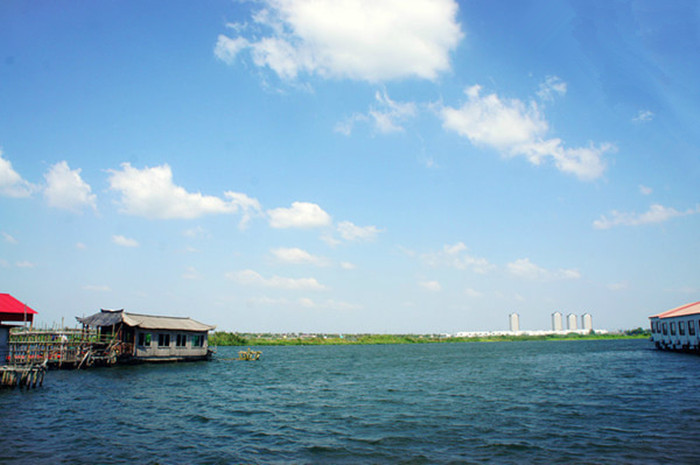 阳澄湖莲花岛一日游攻略：花海骑行与农家乐体验(图3)