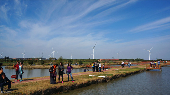 阳澄湖莲花岛油菜花海与湖鲜美食全攻略(图5)