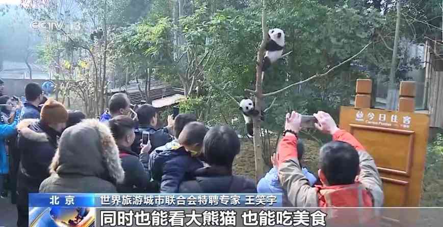 入境游市场迎来开门红，多元玩法深度展现中国魅力(图4)