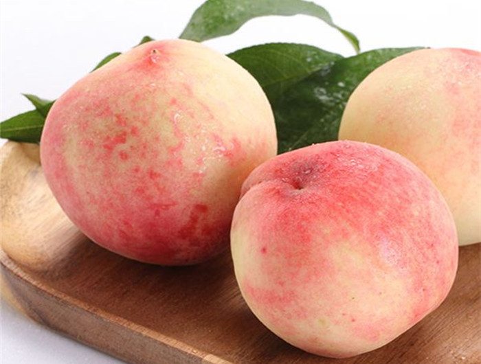 皮韧易剥、汁多甘厚——凤凰水蜜桃(图3)