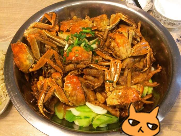 阳澄湖莲花岛旅游攻略：大闸蟹尝鲜与自然风光体验(图2)