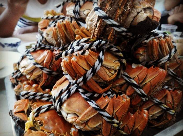 阳澄湖莲花岛自驾游攻略，农家乐品蟹与友情之旅(图4)