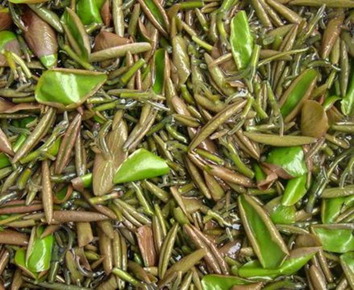 苏州著名特产——太湖莼菜(图3)